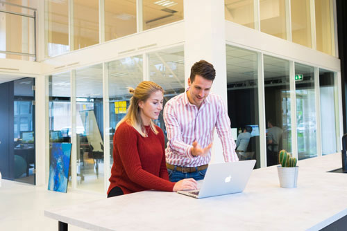 coworkers discussing project at laptop